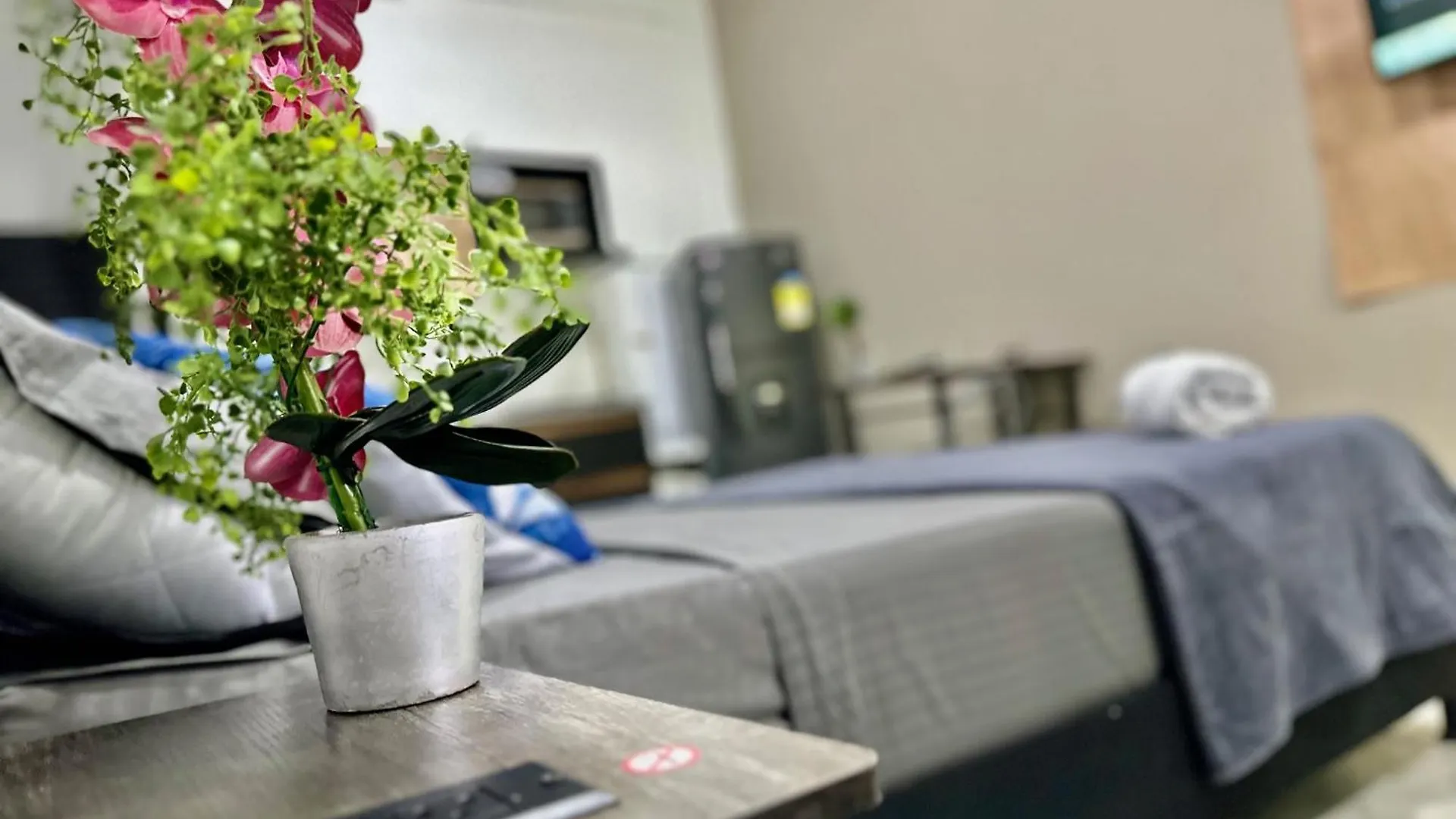 Venecia Loft Hotel Medellín Colombie